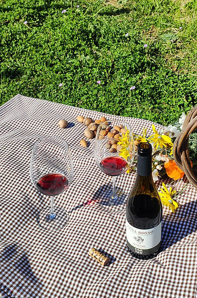 Casale 120_Tour_Tasting (57).jpg