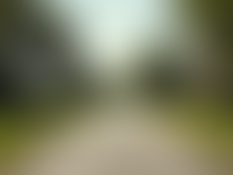 Understanding Home Appraisal Costs A Friendly Guide for Bellaire residents