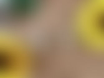 お盆も営業しております!