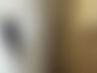 大阪市住吉区 不用品回収