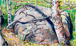 Utah meadow dome rock