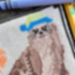 Thumbnail: Sammy Seal