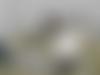 令和7年第2回定例会 (一般質問)全文公開