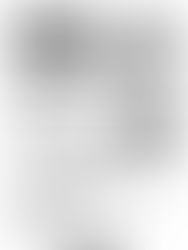 議会報告 第2号