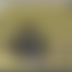 令和3年第3回定例会 （一般質問）全文公開