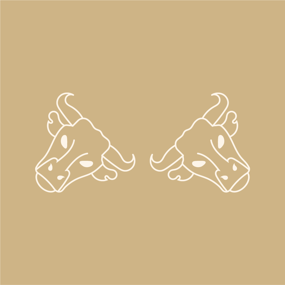 Power Plus Outward Bull Icon