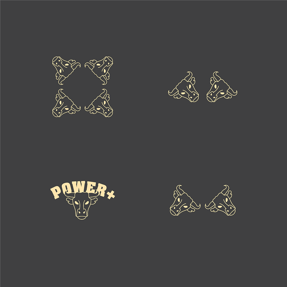 Power Plus Brand Assets Group 2