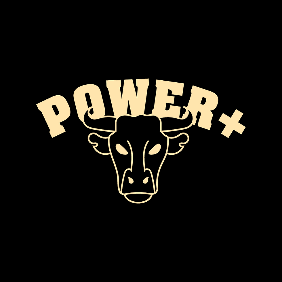 Power Plus Lock Up