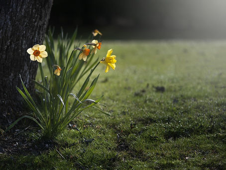 SPRING CELEBRATIONS AROUND THE WORLD