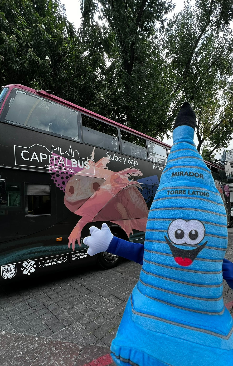 CITY TOUR BY CAPITAL BUS