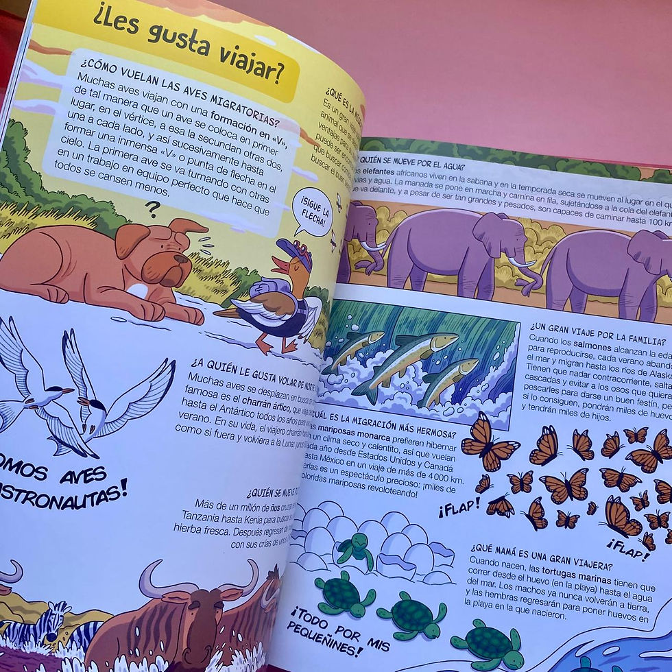 Miniatura: Preguntas y respuestas para aprender