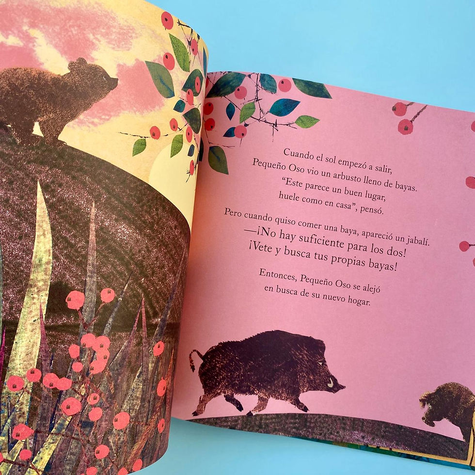 Miniatura: Un hogar para pequeño Oso