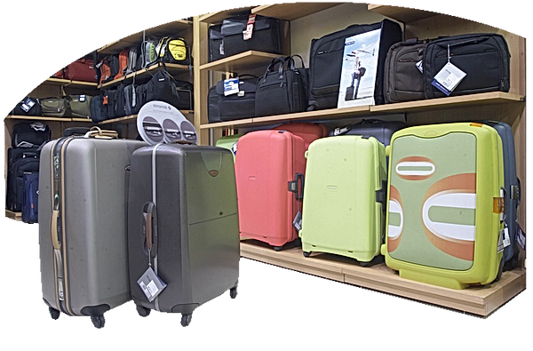 Image result for luggage storage