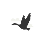 CA_logo_transparent.png