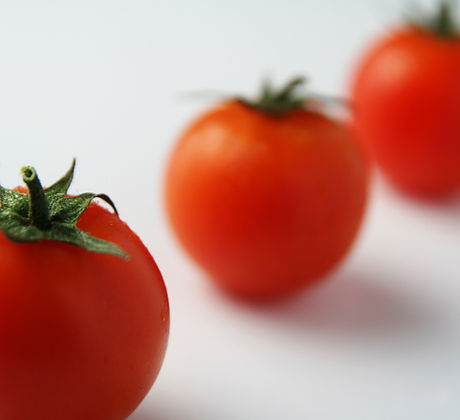 Closeup Tomatoes