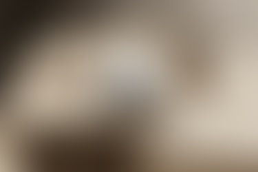 Crafting a Brand Strategy