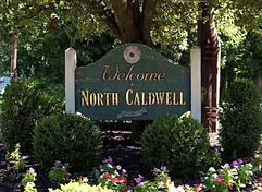 Black Long Tail Butterfly.jpeg