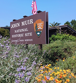 The Native Garden at the John Muir National Historic Site