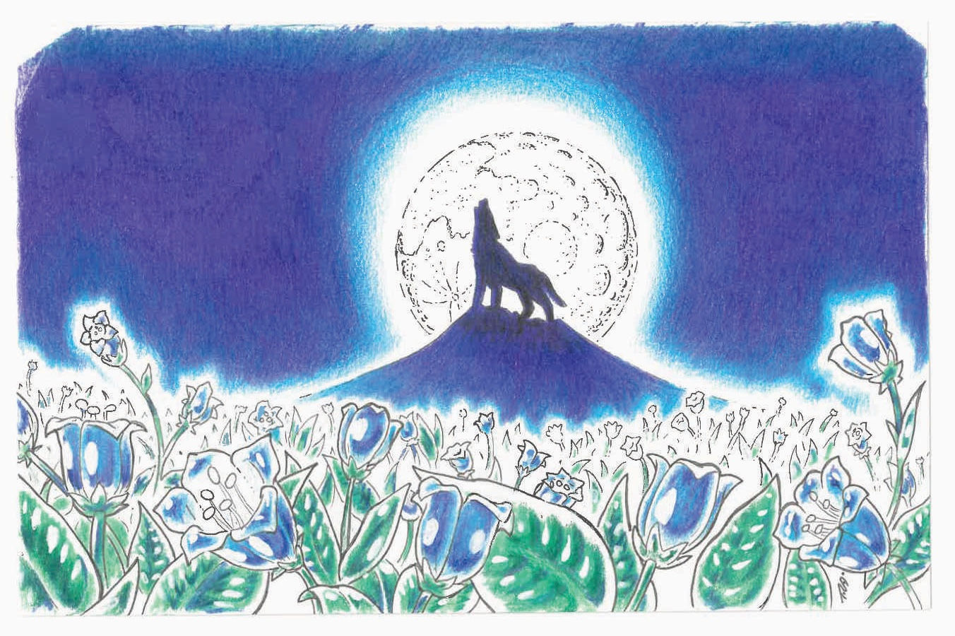 Bella Donna Bifold Card Print