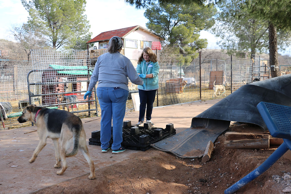🛠🐾 Volunteer Day at Pets Return Home 🐾🛠 Sunday, November 23, 2025 – 9:00 AM to 4:00 PM