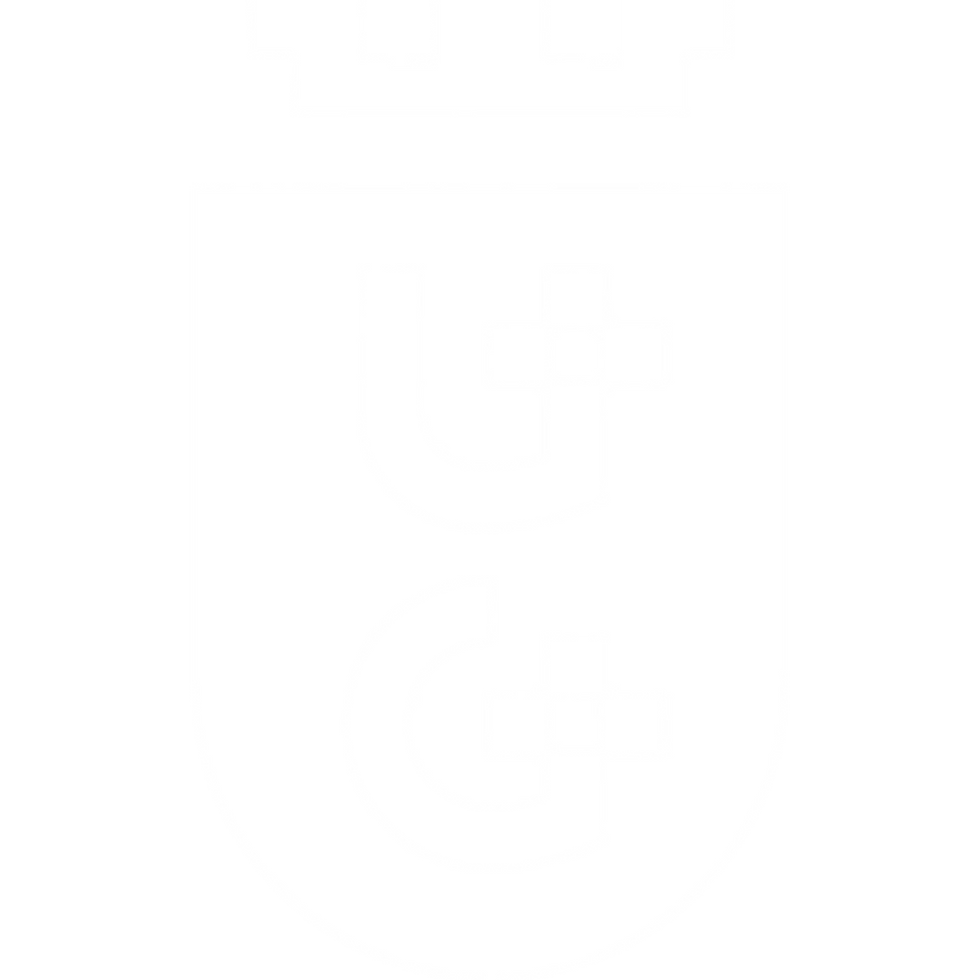 Projekt bez nazwy (4).png