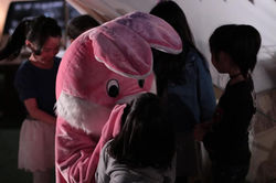 57543638_2208713319220671_82192170797110