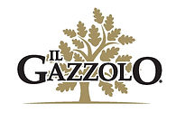 Logo Sponsor (Il Gazzolo)-page-001.jpg