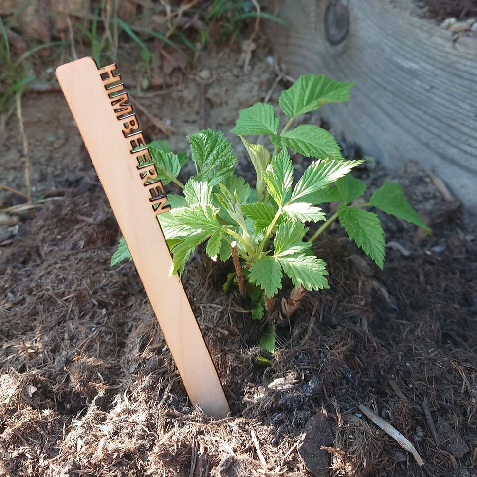Gartenschilder, Kräuterschilder, Gemüseschilde, Stecker