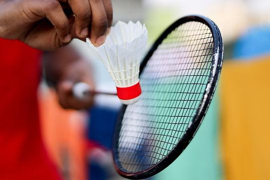 badminton-6030861_1280.jpg