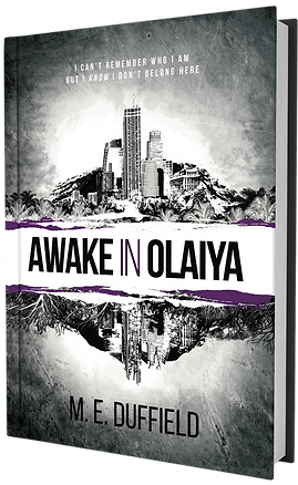 Awake in Olaiya front cover