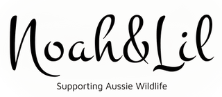 Noah&Lil - Black.png