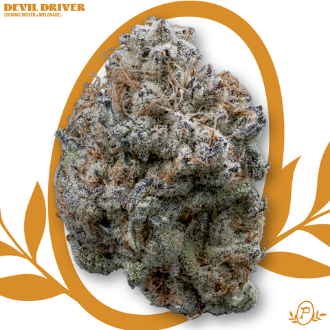 HOME | Peachy Hash & Co.