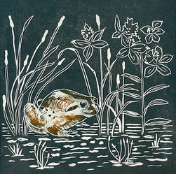 Print of a frog in water among reeds and flowers