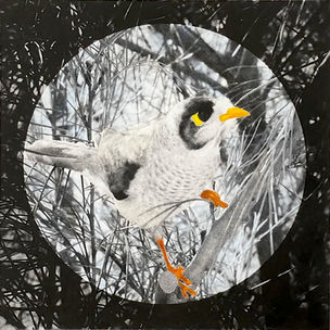 Print of a bird with yellow eyes and orange beak on B&W foliage