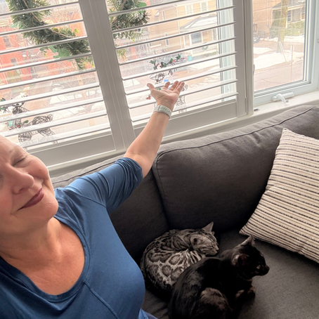 Emotional Support Animal Therapy