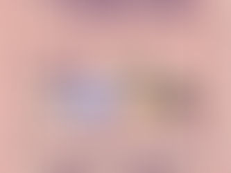 Salon du jouet St Aubin du Cormier