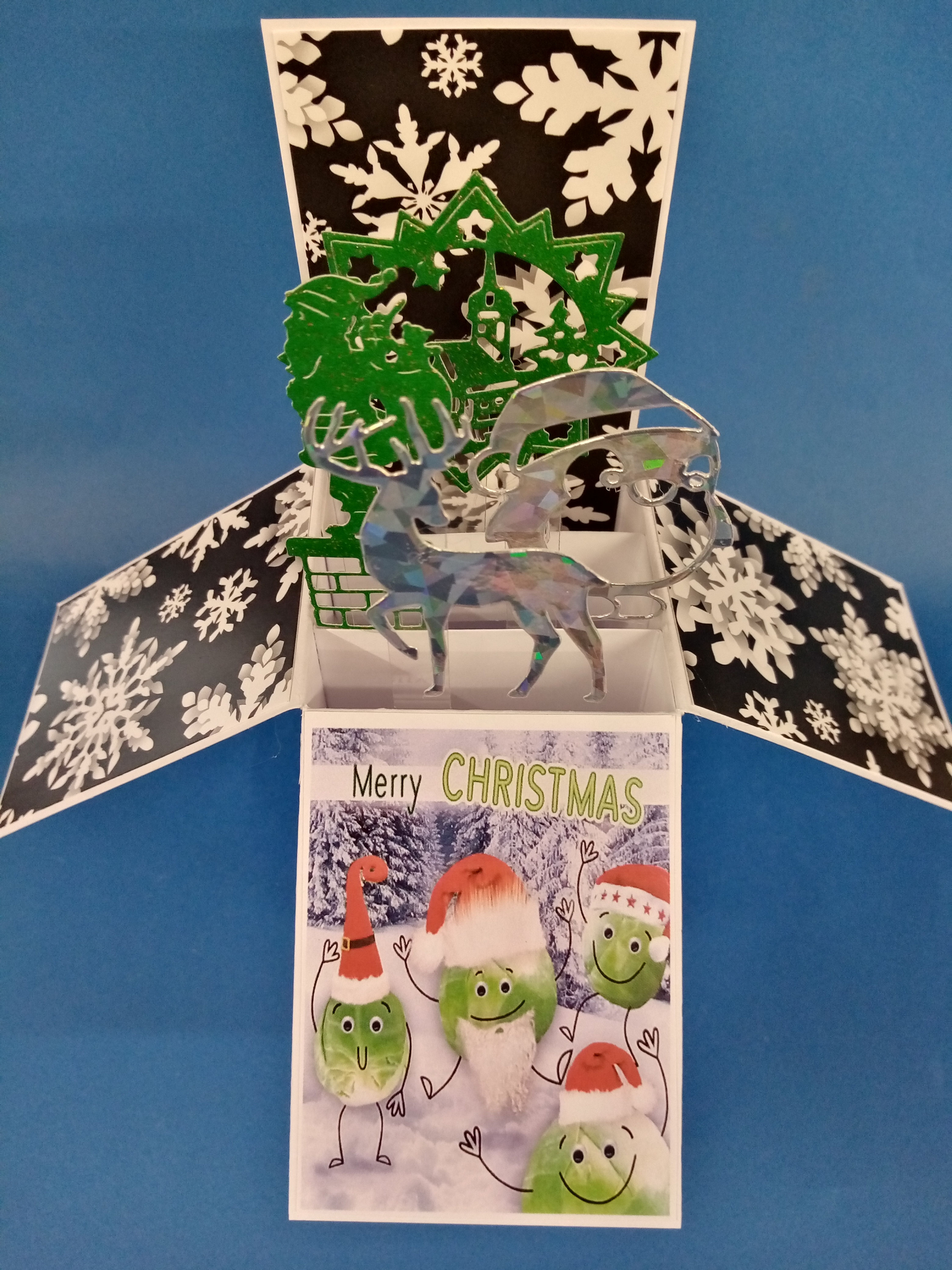 Funny Christmas Card