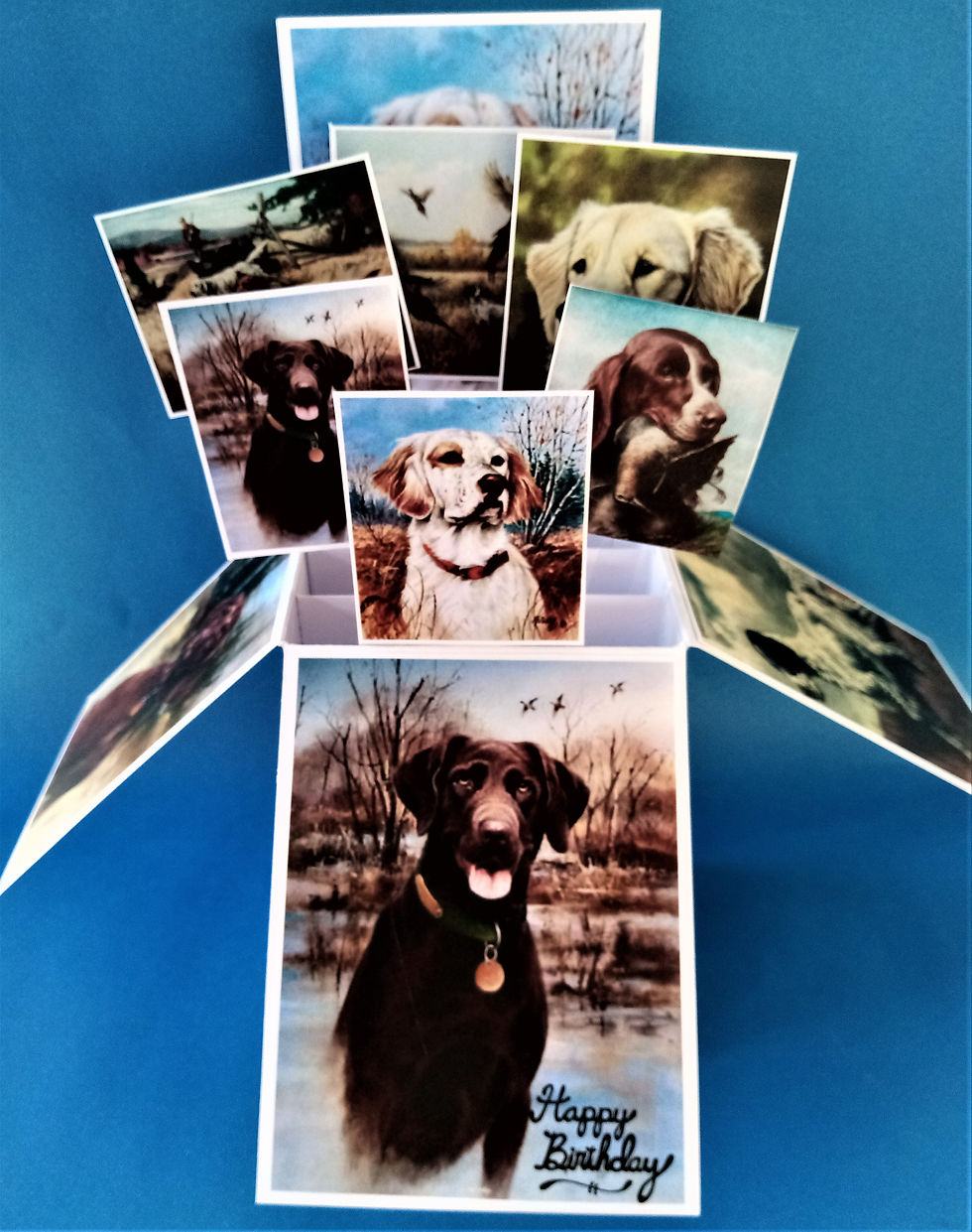 birthday card with gundogs