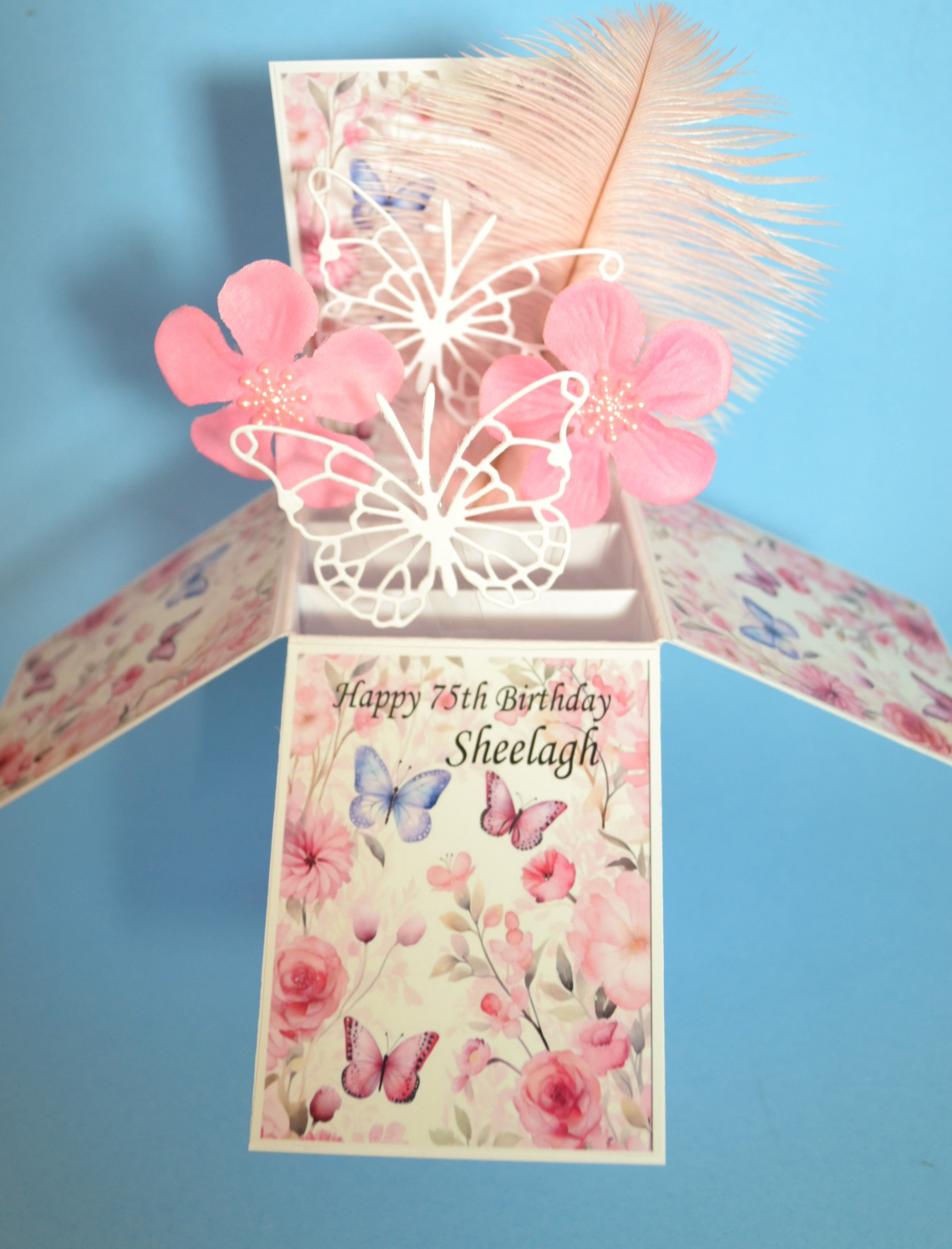 75th Birthday Card for Sheelagh