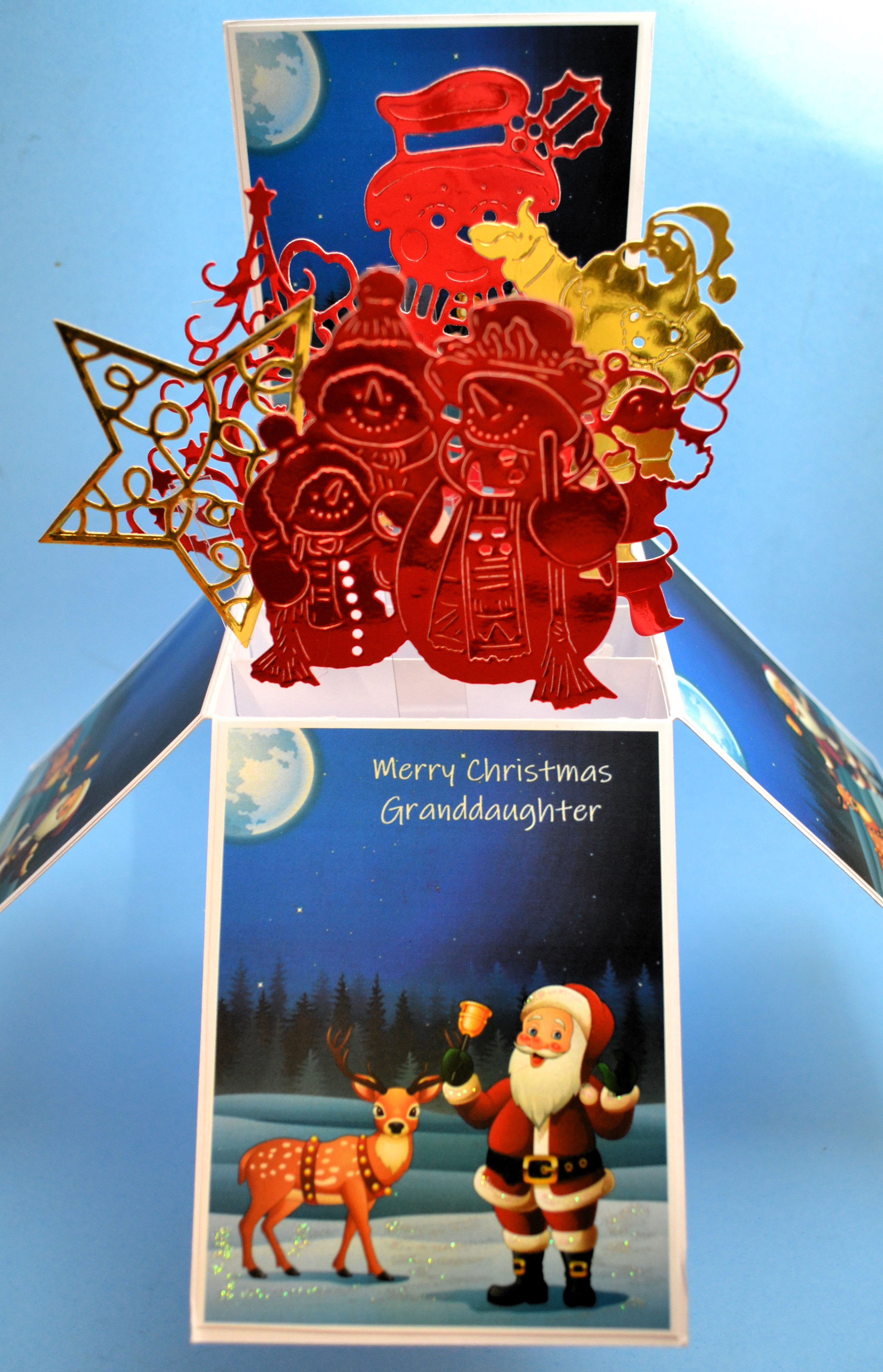 Granddaughter's Christmas Card