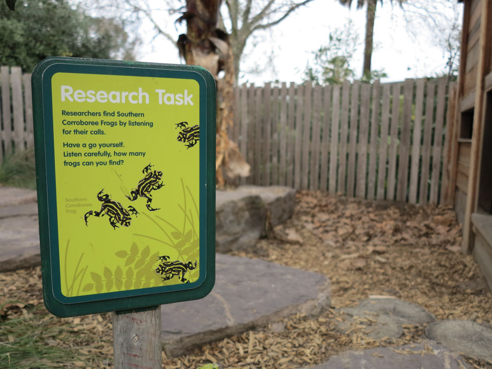 Keeper Kids RESEARCH - Melbourne Zoo_frog sign