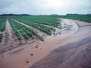 Sediment - What's the big deal?