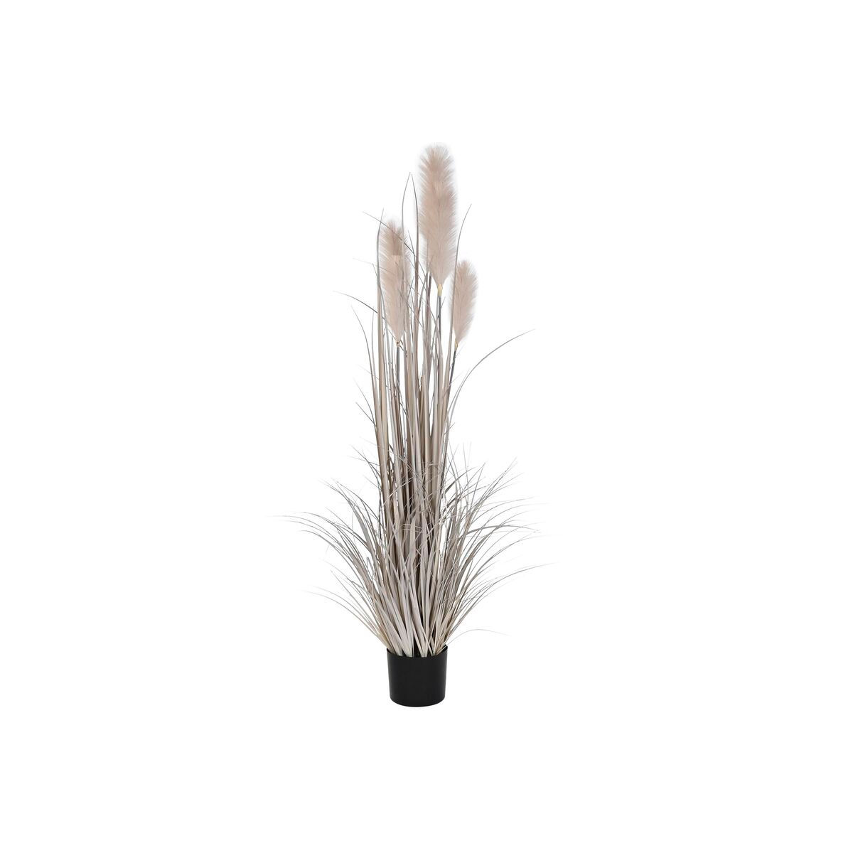 Dekorationspflanze DKD Home Decor Federwedel (45 x 45 x 150 cm)