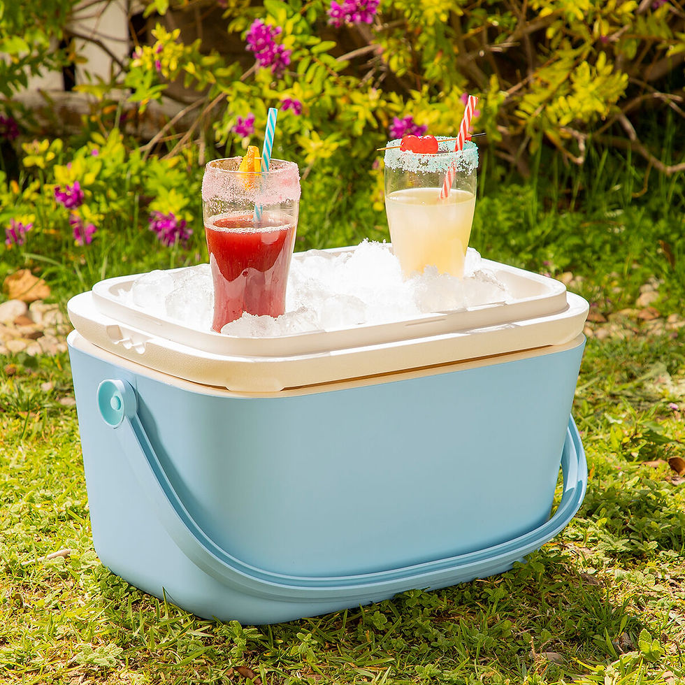 Miniaturbild: Robuste tragbare Kühlbox Koolty InnovaGoods 20 L (Restauriert C)
