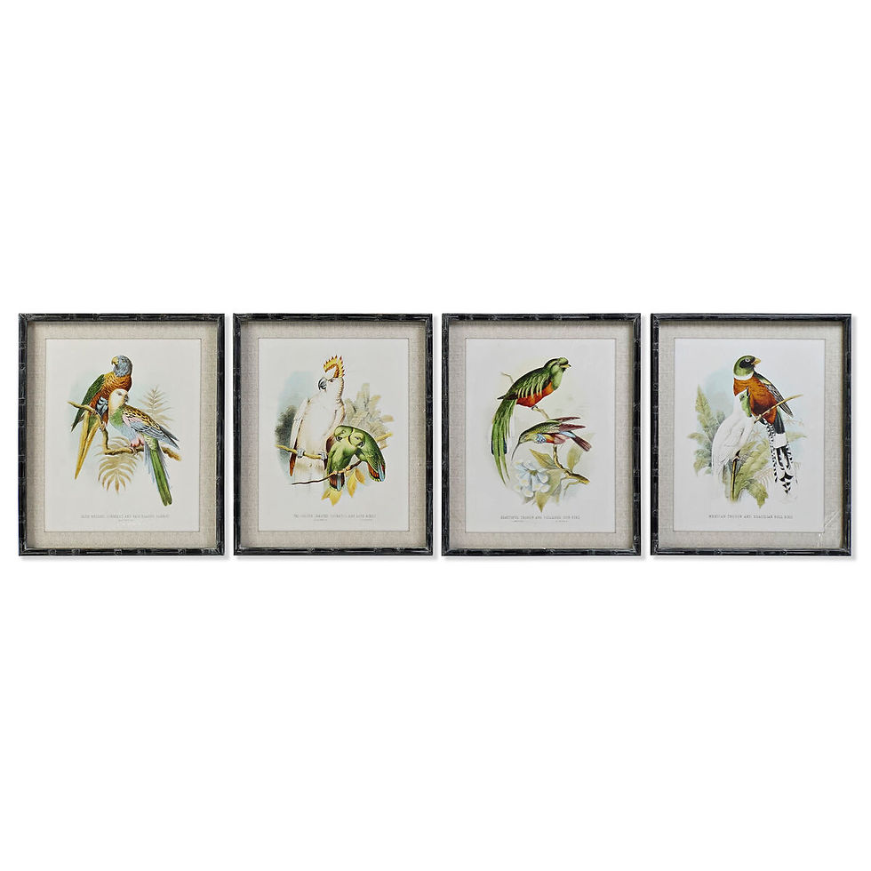 Miniaturbild: Bild DKD Home Decor 50 x 2 x 60 cm Vögel Moderne (4 Stücke)