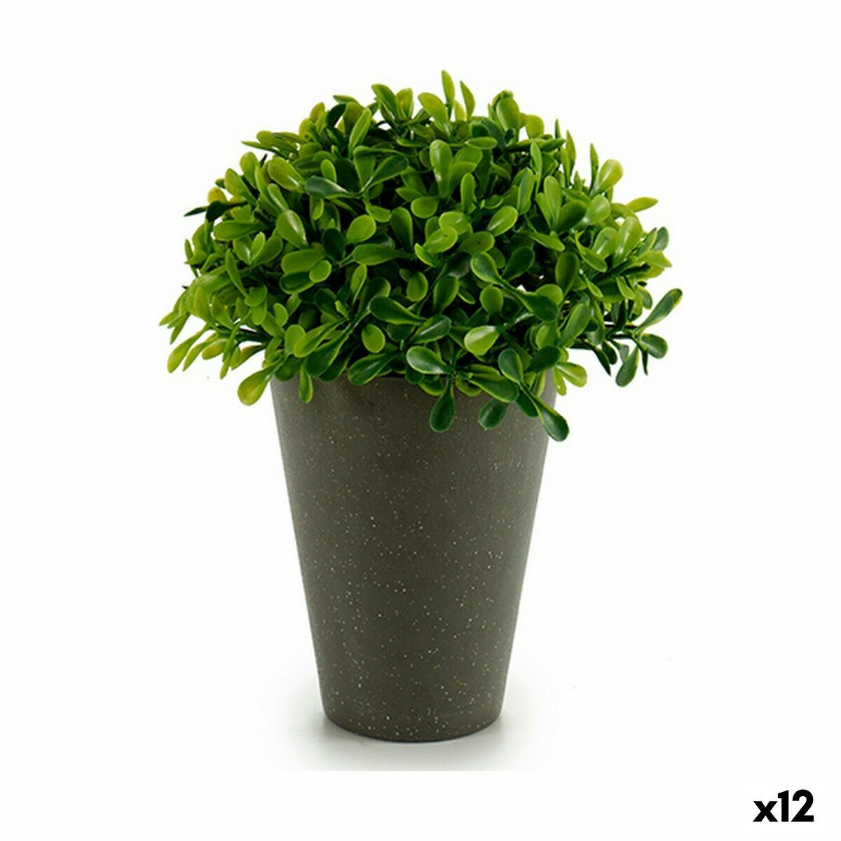 Dekorationspflanze Kunststoff 13 x 16 x 13 cm grün Grau (12 Stück)