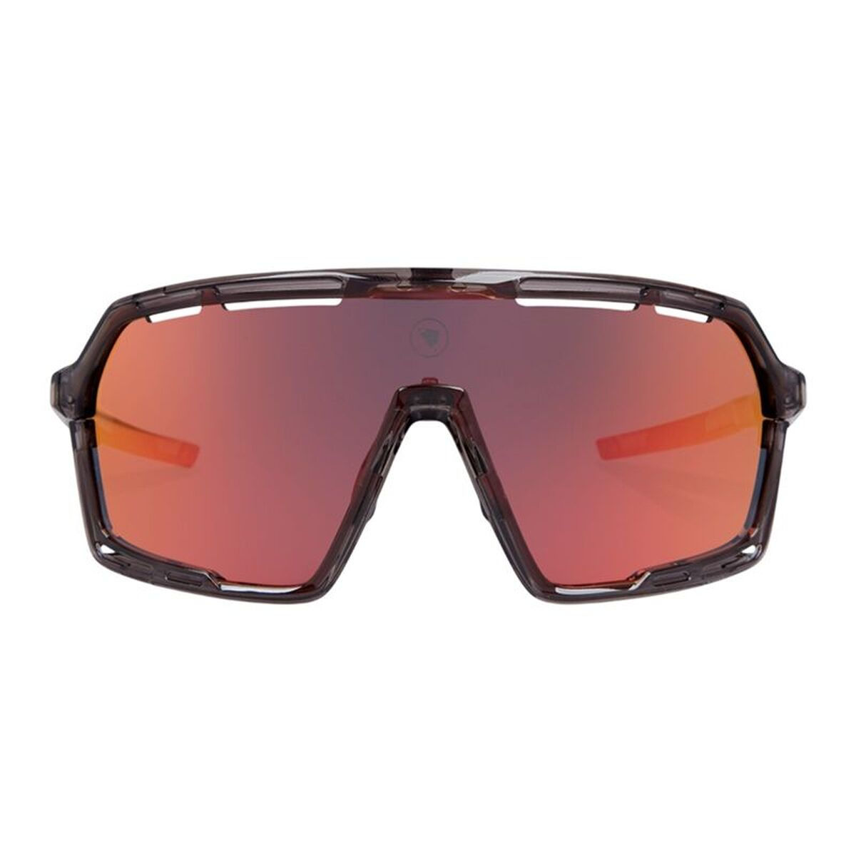 Fahrradbrille Endura Pro Sl Grau
