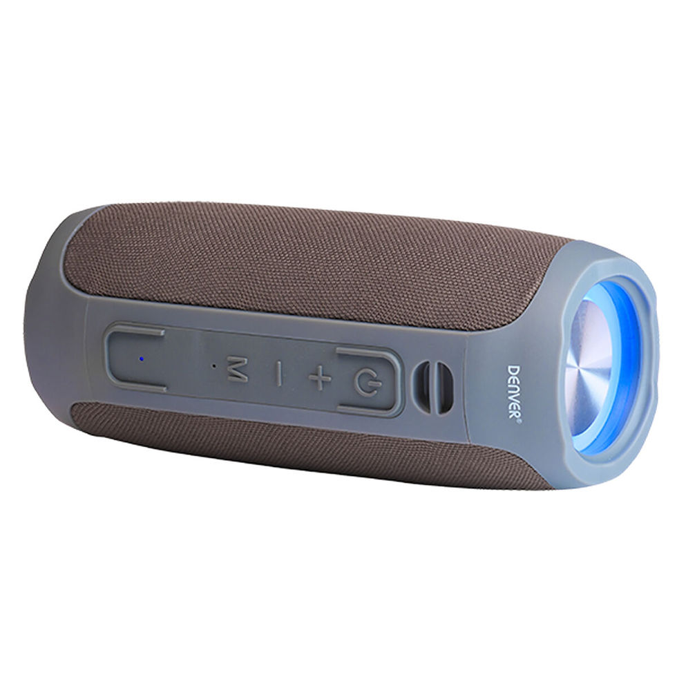 Tragbare Lautsprecher Denver Electronics BTV220 GRIS