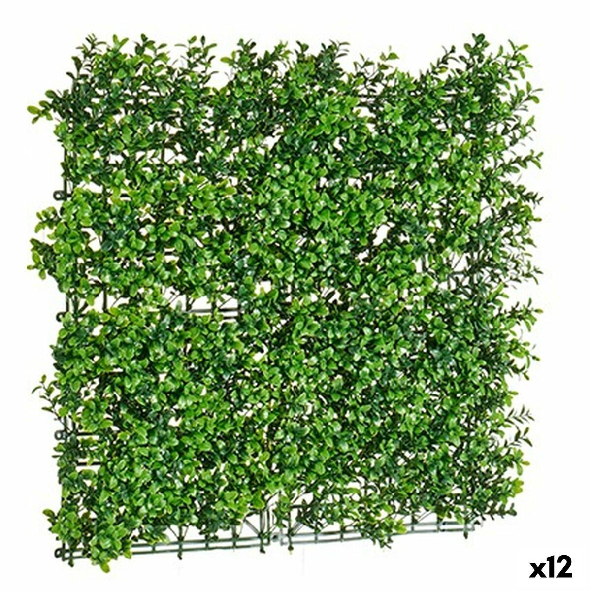 Set für vertikalen Garten 50 x 5 x 50 cm (12 Stück)