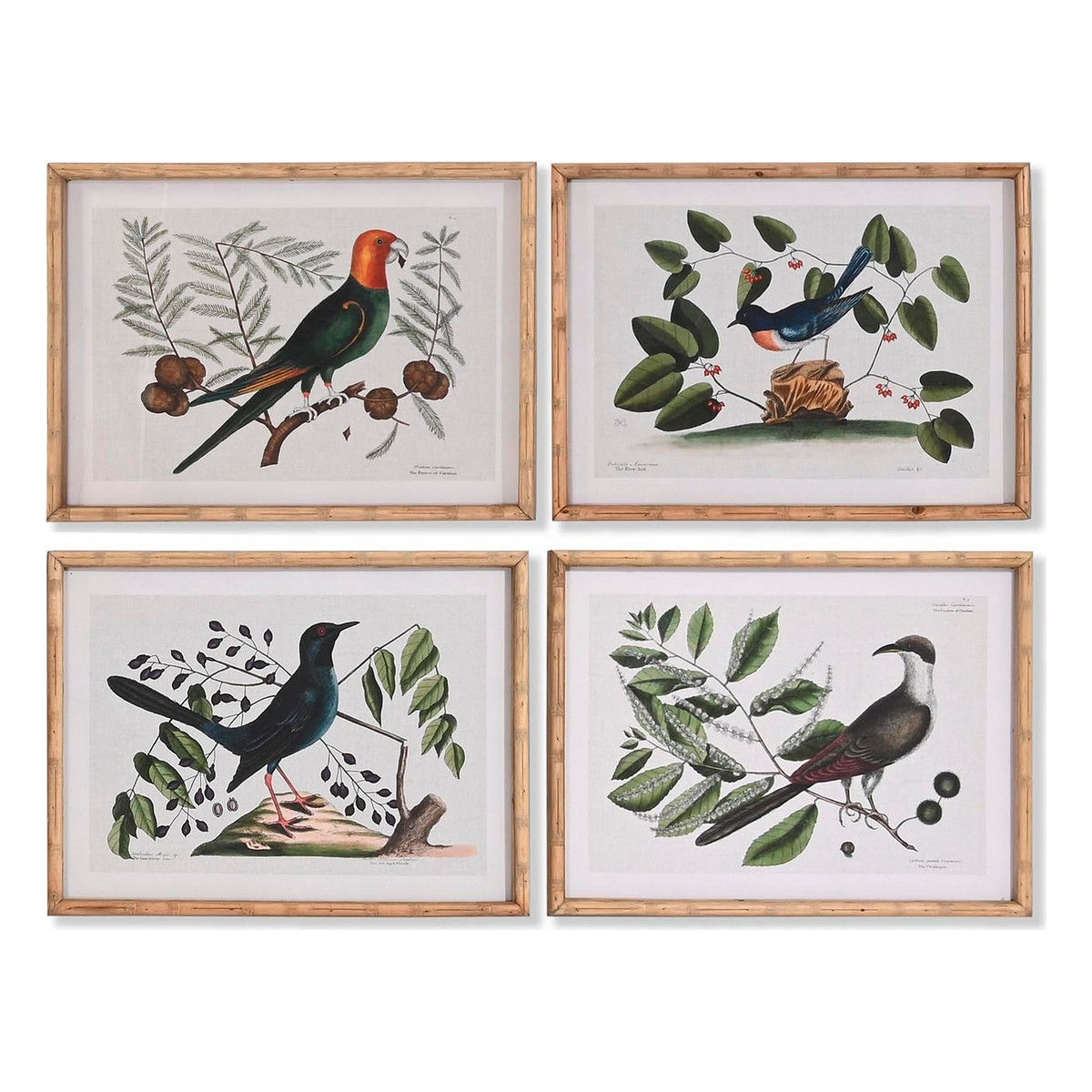Bild DKD Home Decor Kristall Vögel 65 x 16,5 x 50,2 cm (4 Stücke)